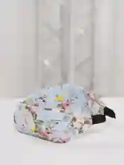 Ледяной ободок