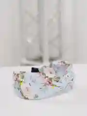 Ледяной ободок