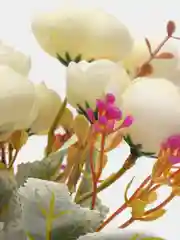 Молочный искуственные цветы камелии, пионы