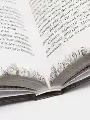"Третий вид магии. Проклятый амулет". Элизабет Форест