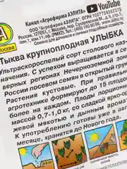 Семена Тыква крупноплодная "Улыбка" набор 1, 3, 5 уп