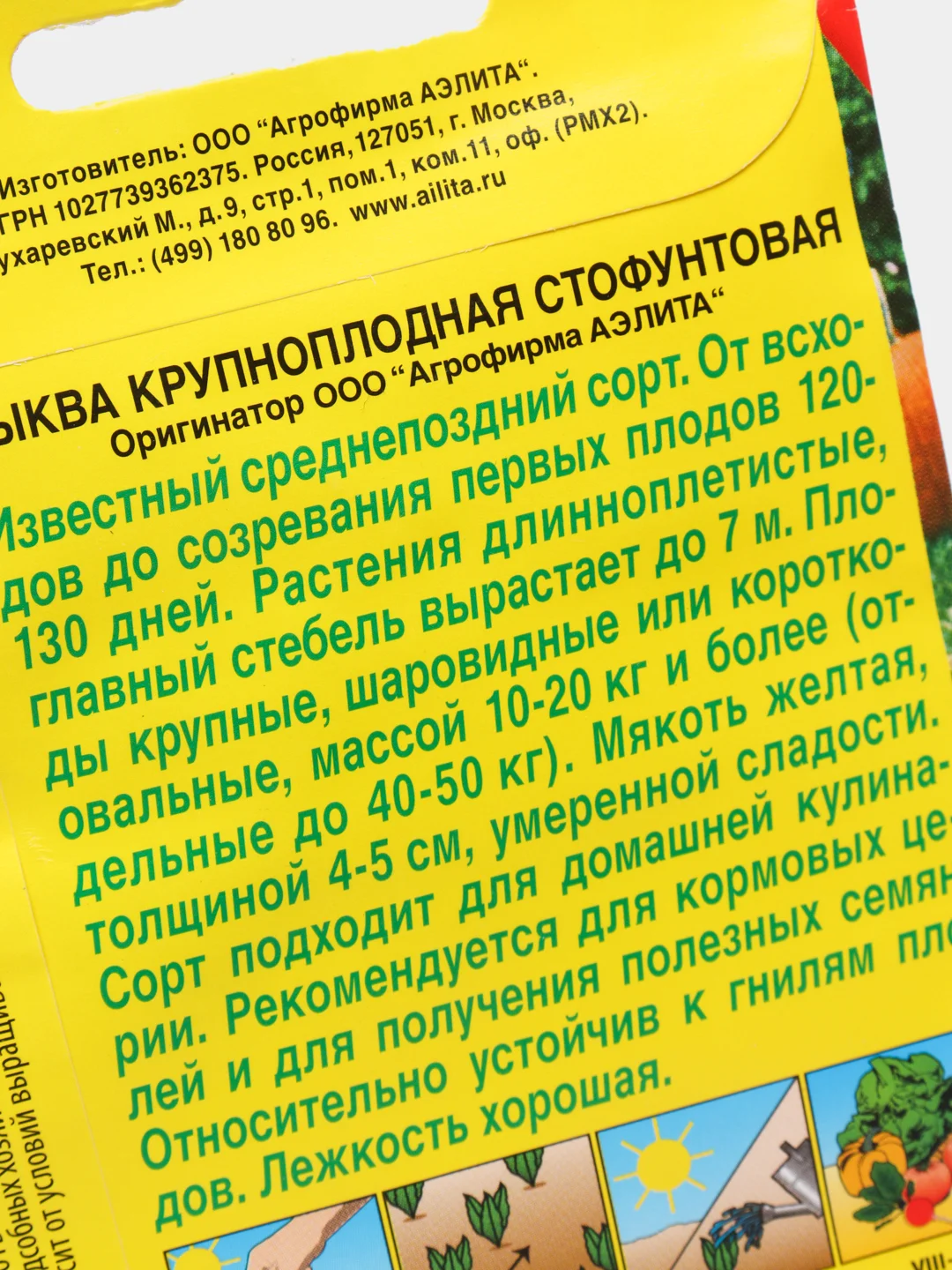 Семена Тыква крупноплодная "Стофунтовая" набор 1, 3, 5 уп
