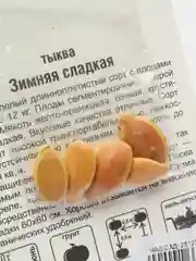 Семена Тыква "Зимняя сладкая" набор 1, 3, 5 уп