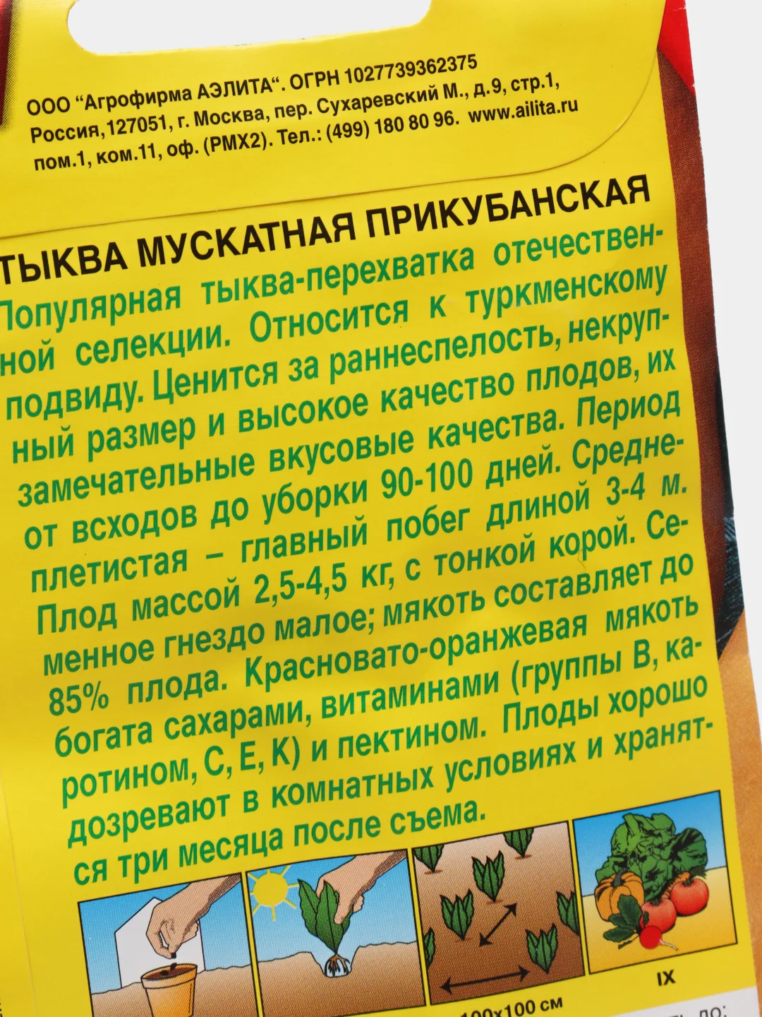Семена Тыква мускатная "Прикубанская" набор 1, 3, 5 уп