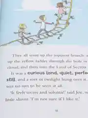 Книга на английском языке "A Faraway Tree Adventure" Enid Blyton