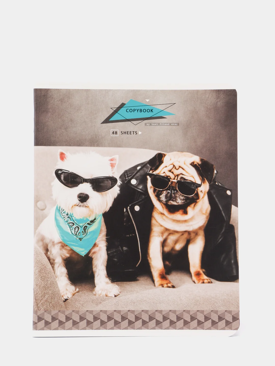 Зеленый тетрадь ArtSpace "Питомцы. Pug", 48 листов, А5, клетка