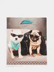 Зеленый тетрадь ArtSpace "Питомцы. Pug", 48 листов, А5, клетка
