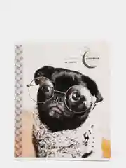 Белый тетрадь ArtSpace "Питомцы. Pug", 48 листов, А5, клетка