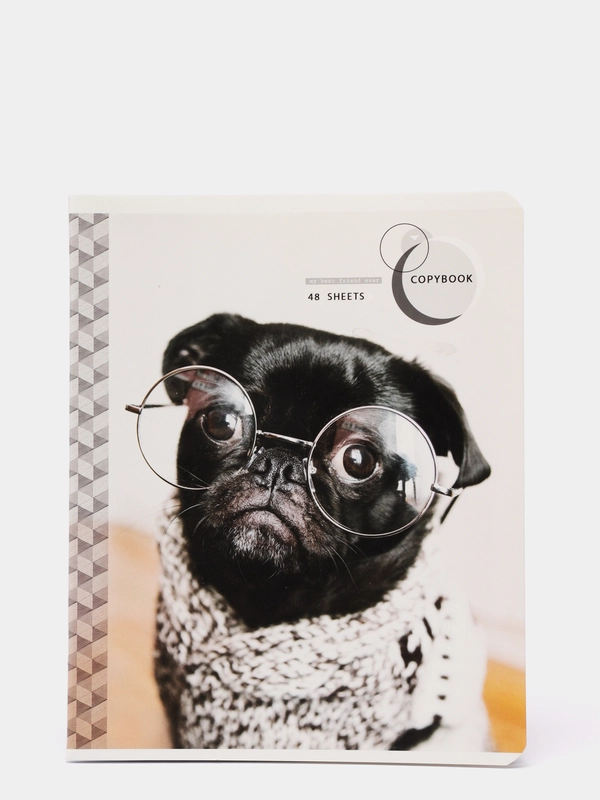 Тетрадь ArtSpace "Питомцы. Pug", 48 листов, А5, клетка