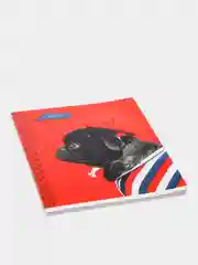 Красный тетрадь ArtSpace "Питомцы. Pug", 48 листов, А5, клетка