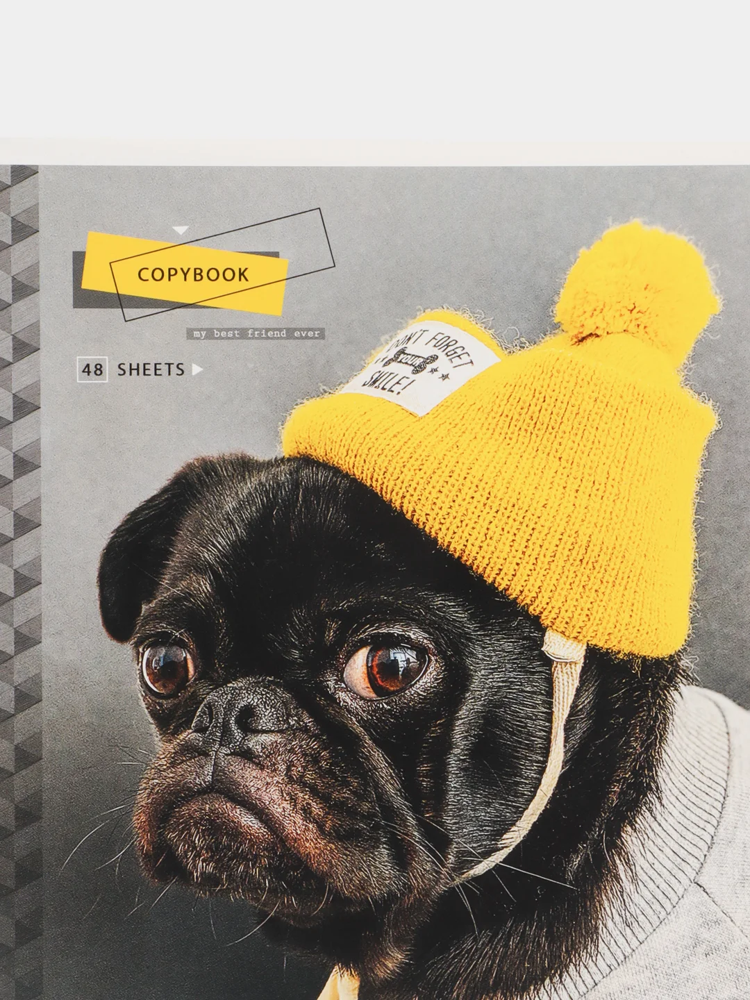 Желтый тетрадь ArtSpace "Питомцы. Pug", 48 листов, А5, клетка