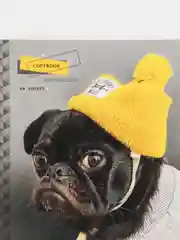 Желтый тетрадь ArtSpace "Питомцы. Pug", 48 листов, А5, клетка