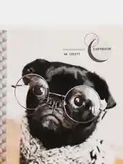 Белый тетрадь ArtSpace "Питомцы. Pug", 48 листов, А5, клетка