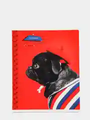 Красный тетрадь ArtSpace "Питомцы. Pug", 48 листов, А5, клетка