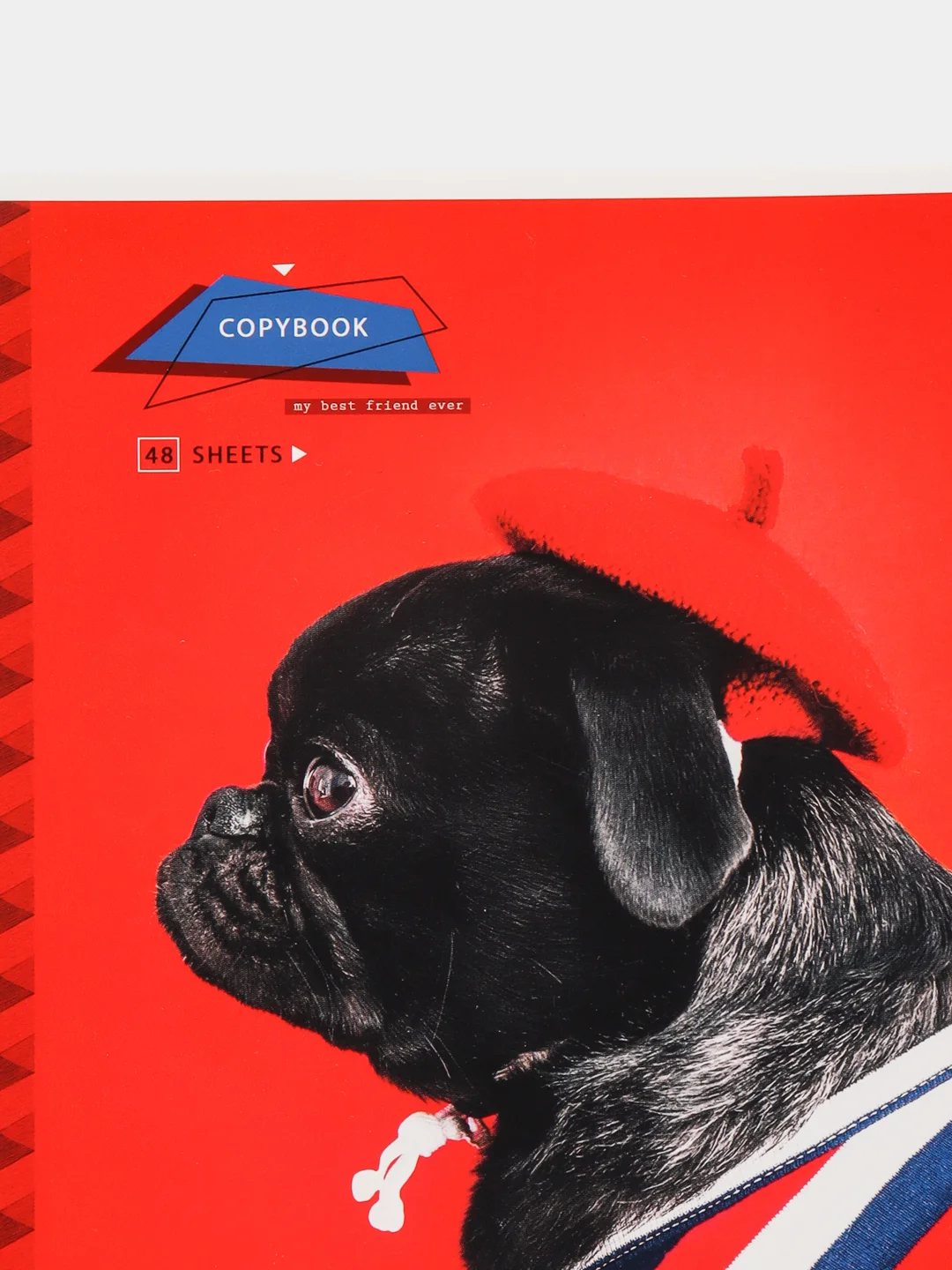 Красный тетрадь ArtSpace "Питомцы. Pug", 48 листов, А5, клетка