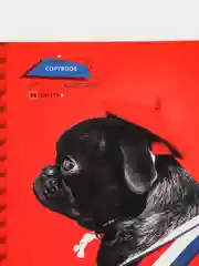 Красный тетрадь ArtSpace "Питомцы. Pug", 48 листов, А5, клетка