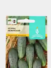 Огурец Нежинский 0,5г / Евро - семена