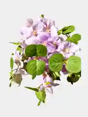 Искусственные цветы.Сакура (букет). Высота 35 см