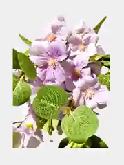 Искусственные цветы.Сакура (букет). Высота 35 см