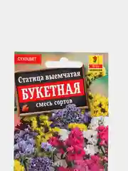 Статица Букетная (семена,цветы)