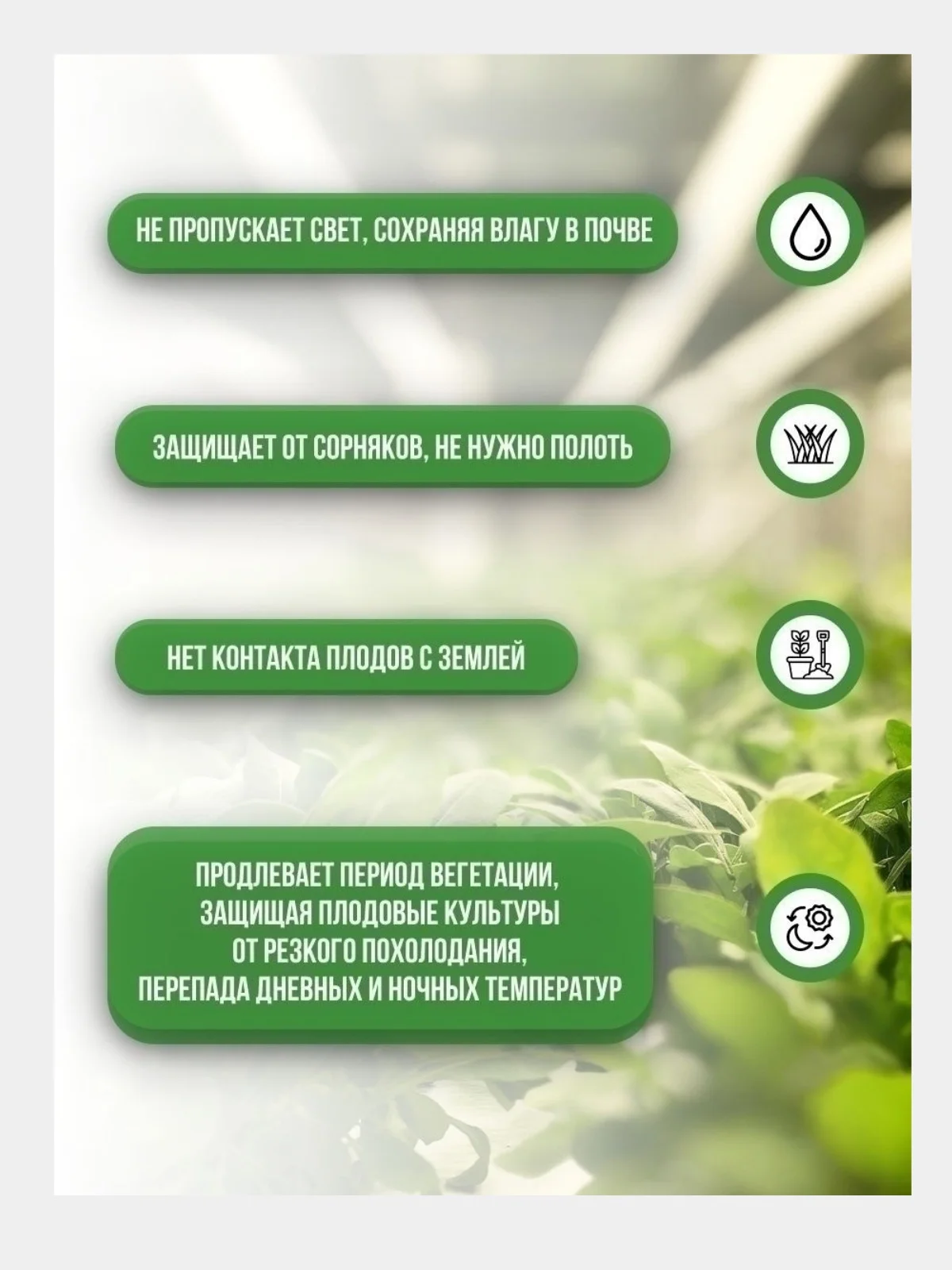 Укрывной материал, с УФ стабилизатором, 1,6 м x 10 м