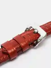 Ремень для наручных часов R-55PHS.J-GU