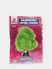 Зеленый набор для выращивания кристаллов "Сделай сам", развивающие игры, 6+