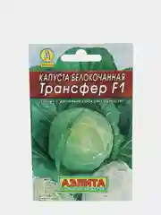 Семена Капуста белокочанная "Трансфер F1"
