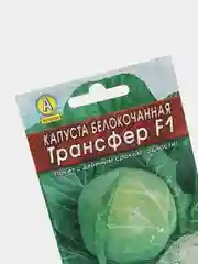 Семена Капуста белокочанная "Трансфер F1"