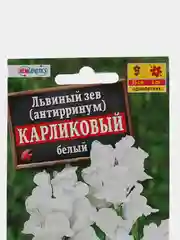Семена Львиный зев "Карликовый" белый