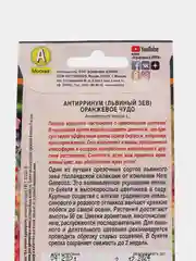 Семена Львиный зев "Оранжевое чудо", набор по 1, 3, 5 уп