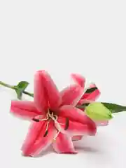 Тёмно-розовый искуственные цветы Лилии