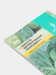 Капуста Трансфер F1 0,1г / Евро - семена