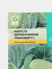 Капуста Трансфер F1 0,1г / Евро - семена