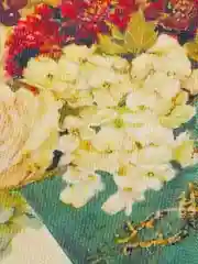 Бирюзовый декоративная наволочка "Прованс", 45*45 см