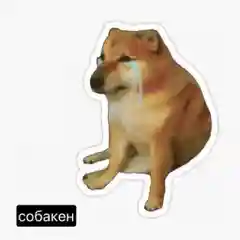 Наклейки-стикеры "Мемы"