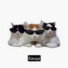 Наклейки-стикеры "Мемы"