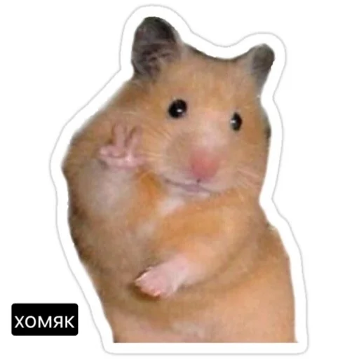 Наклейки-стикеры "Мемы"