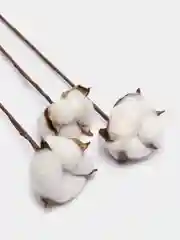 Белый искусственнные цветы, сухоцвет, хлопок на стебле, хлопок