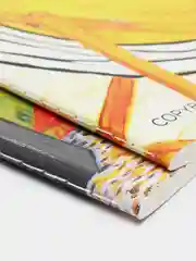 Тетради B5 60л НАБОР 2шт. сшивка линия SoftTouch, ВПЕЧАТЛЕНИЕ, BRAUBERG, 403825