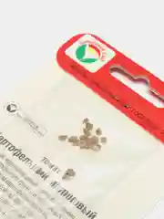 Семена Томат "Картофельный малиновый"