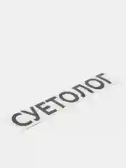 Черный наклейка на авто "СУЕТОЛОГ"