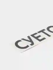 Черный наклейка на авто "СУЕТОЛОГ"