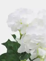 Искусственные цветы "Гортензия белая"