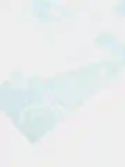 Виниловая наклейка Газель мафия