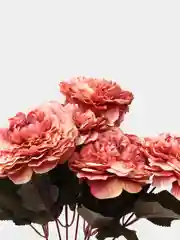 Коралловый искусственные цветы камелии, букет 42 см