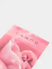 Открытка на каждый день "Самой красивой" роза, 7,5 х 10 см
