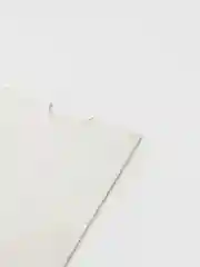 Трафарет пластиковый Luxart Template "Ромашки"60*40