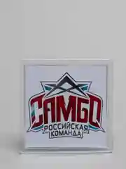 Белый магниты на холодильник "Спорт"
