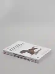Книга Валиаппа Лакшманан, Майкл Мунн "Машинное обучение: Паттерны проектирования"